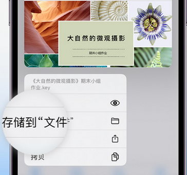 隆广镇apple维修中心分享iPhone文件应用中存储和找到下载文件