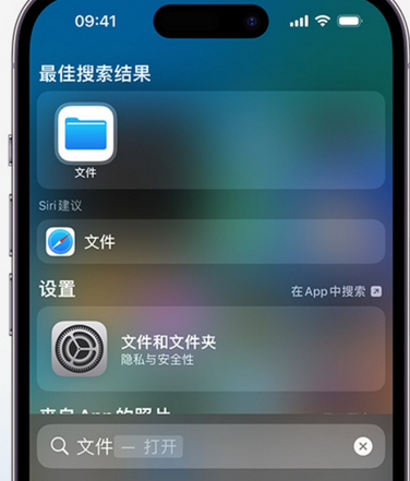 隆广镇apple维修中心分享iPhone文件应用中存储和找到下载文件 