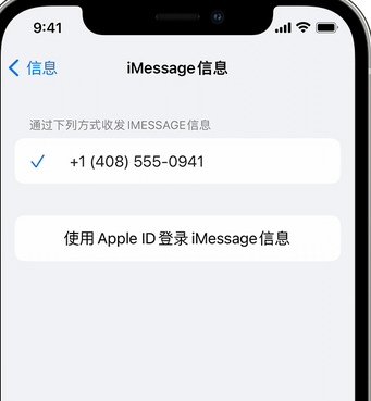 隆广镇apple维修iPhone上无法正常发送iMessage信息 