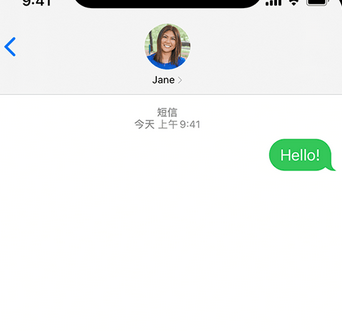 隆广镇apple维修iPhone上无法正常发送iMessage信息