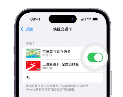 隆广镇apple维修点分享iPhone上更换Apple Pay快捷交通卡手绘卡面 