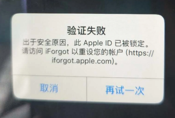 隆广镇iPhone维修分享iPhone上正常登录或使用AppleID怎么办 