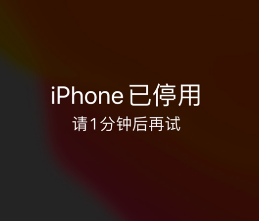 隆广镇苹果手机维修分享:iPhone 显示“不可用”或“已停用”怎么办？还能保留数据吗？ 