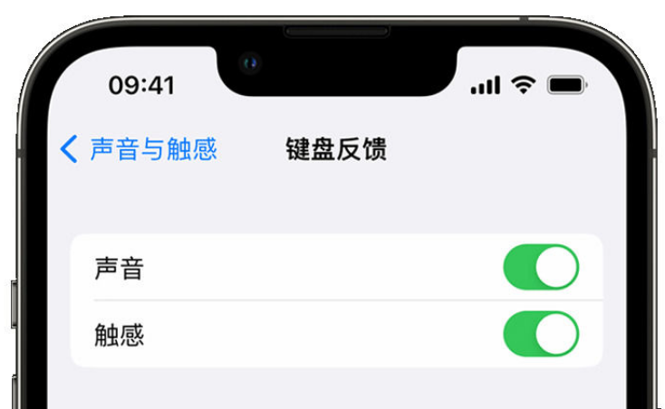 隆广镇苹果手机维修分享iPhone 14触感键盘使用方法 