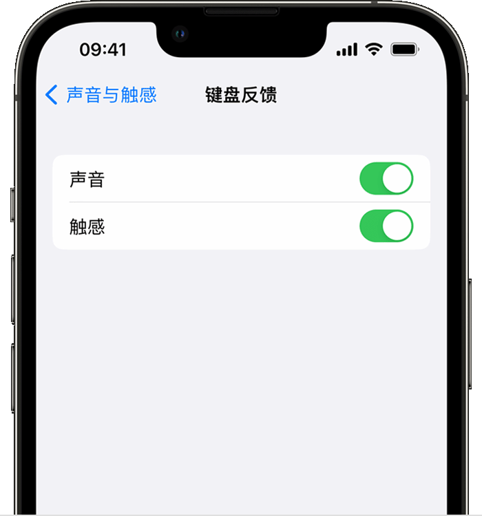 隆广镇苹果14维修店分享如何在 iPhone 14 机型中使用触感键盘 