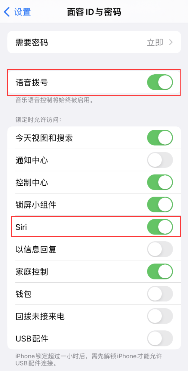 隆广镇苹果维修网点分享不解锁 iPhone 的情况下通过 Siri 拨打电话的方法 