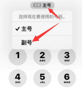 隆广镇苹果14维修店分享iPhone 14 Pro Max使用副卡打电话的方法 