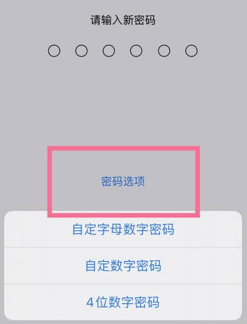 隆广镇苹果14维修分享iPhone 14plus设置密码的方法 