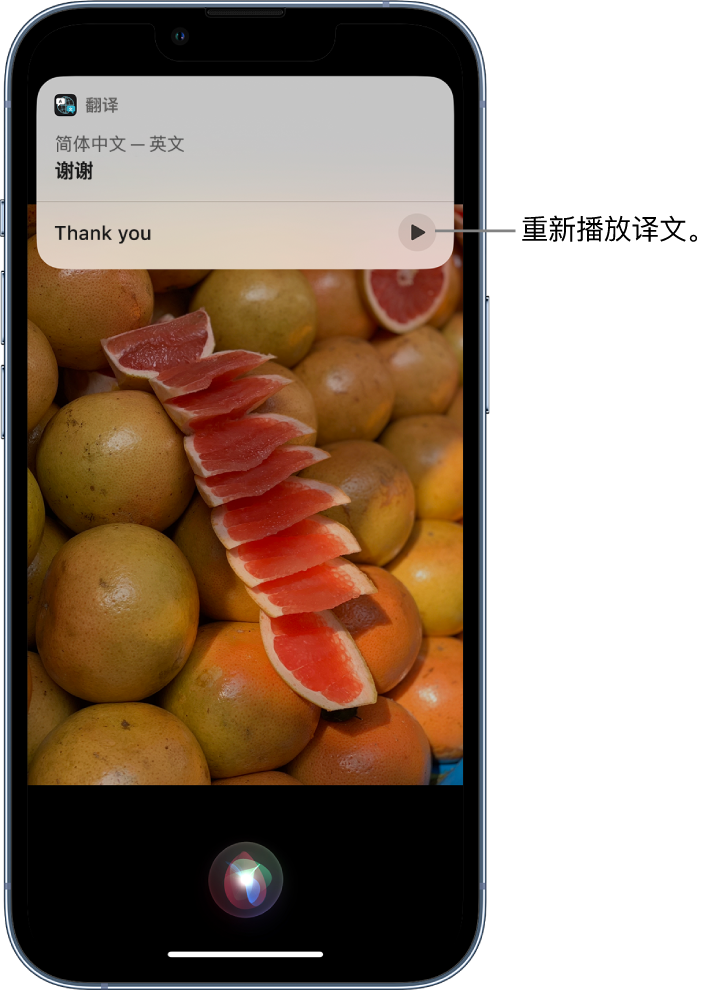 隆广镇苹果14维修分享 iPhone 14 机型中使用 Siri：了解 Siri 能帮你做什么 