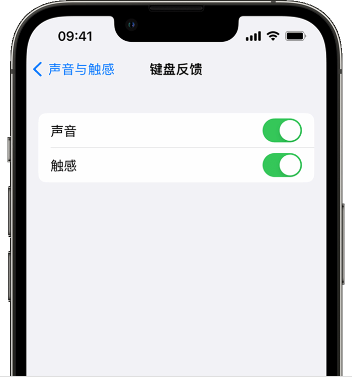 隆广镇苹果14维修分享iPhone 14 系列机型如何开启键盘声音或触感反馈 