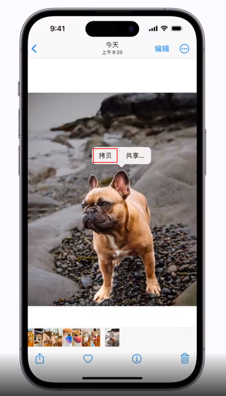 隆广镇苹果手机维修分享 iOS 16 自带一键抠图功能 