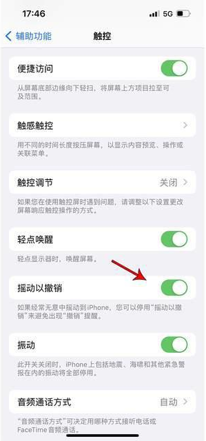 隆广镇苹果手机维修分享iPhone手机如何设置摇一摇删除文字 