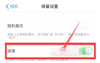 隆广镇苹果13维修分享iPhone13拍照有绿点是怎么回事 